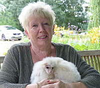 163881 Carol and baby owls
